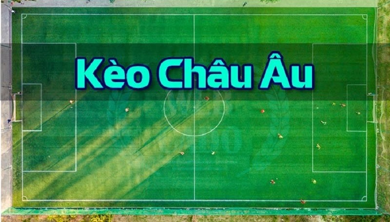 c&aacute;c kiểu c&aacute; độ b&oacute;ng đ&aacute;